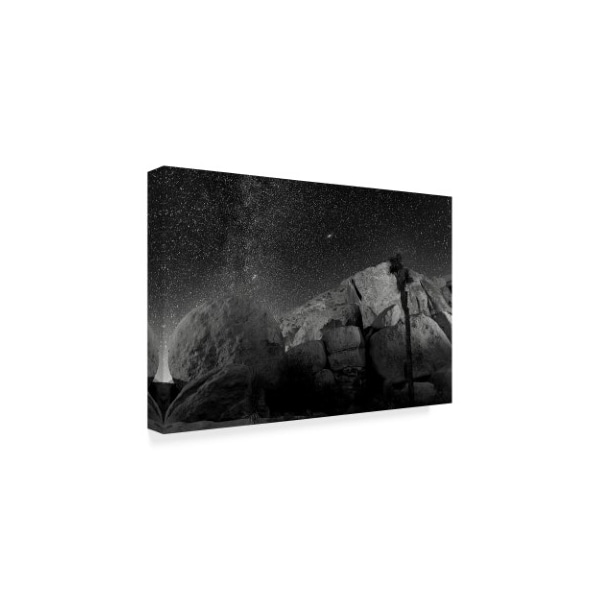 American School 'Joshua Tree Sea Of Stars' Canvas Art,16x24